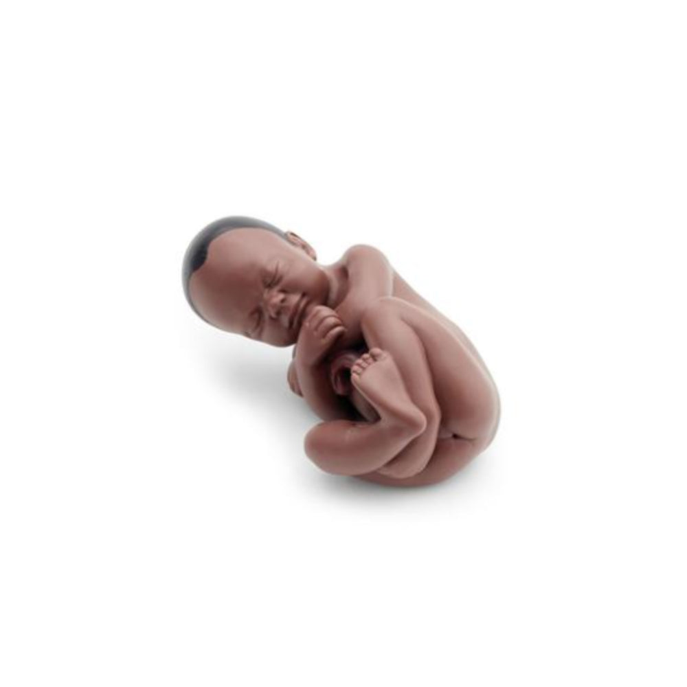 Pregnancy Pelvis Model in Median Section with Removable Foetus at 40 weeks, 3 Part 1024385 | Sim & Skills