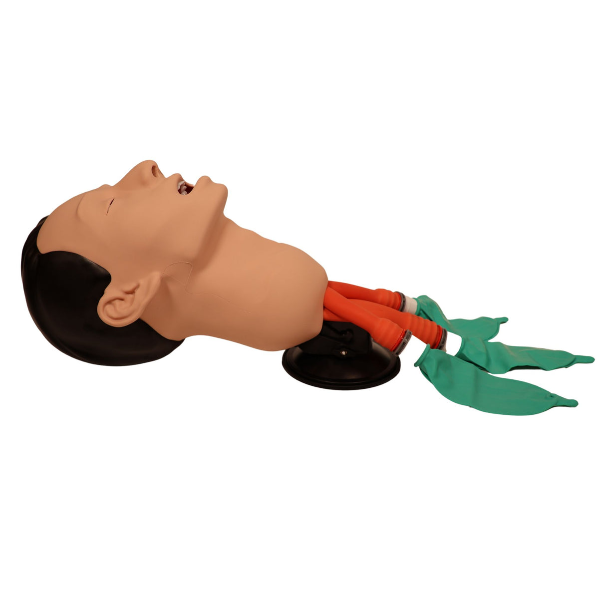 3B Scientific Airway Management Trainer P73 | 1026007 | Sim & Skills Ltd