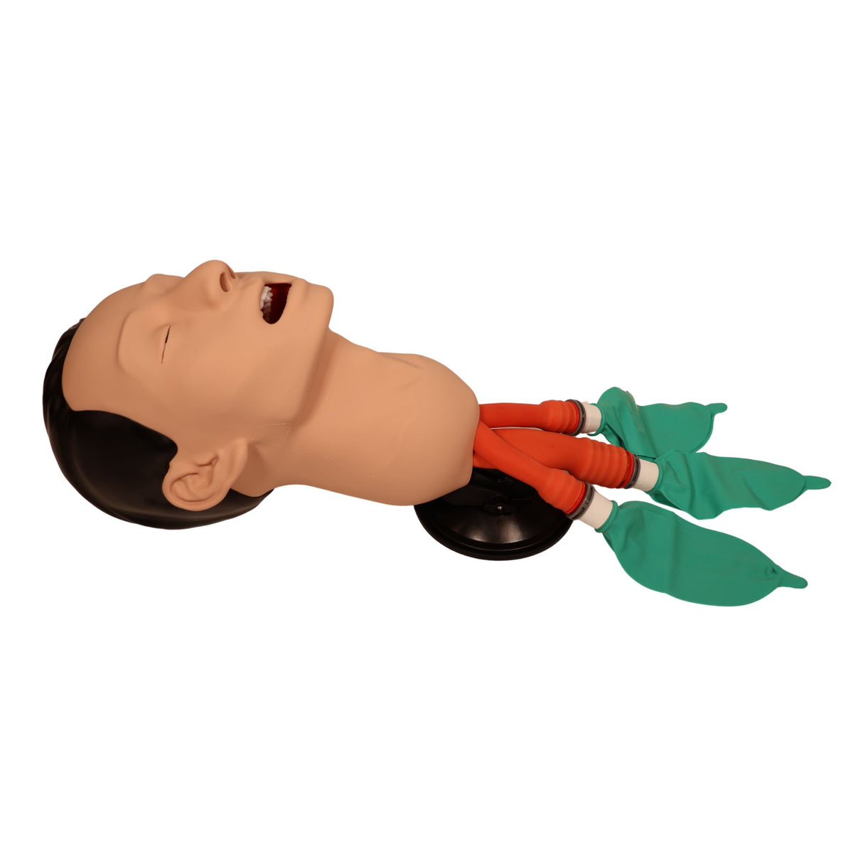 3B Scientific Airway Management Trainer P73 | 1026007 | Sim & Skills Ltd