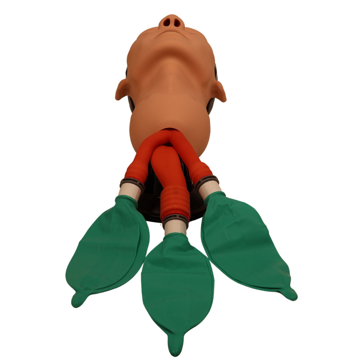 3B Scientific Airway Management Trainer P73 | 1026007 | Sim & Skills Ltd