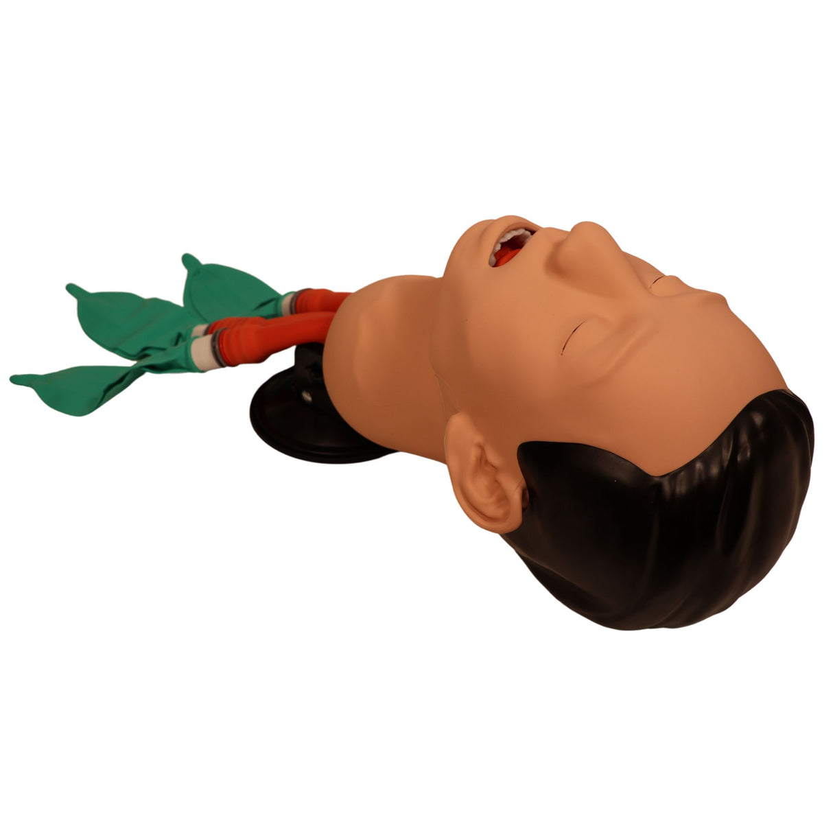3B Scientific Airway Management Trainer P73 | 1026007 | Sim & Skills Ltd