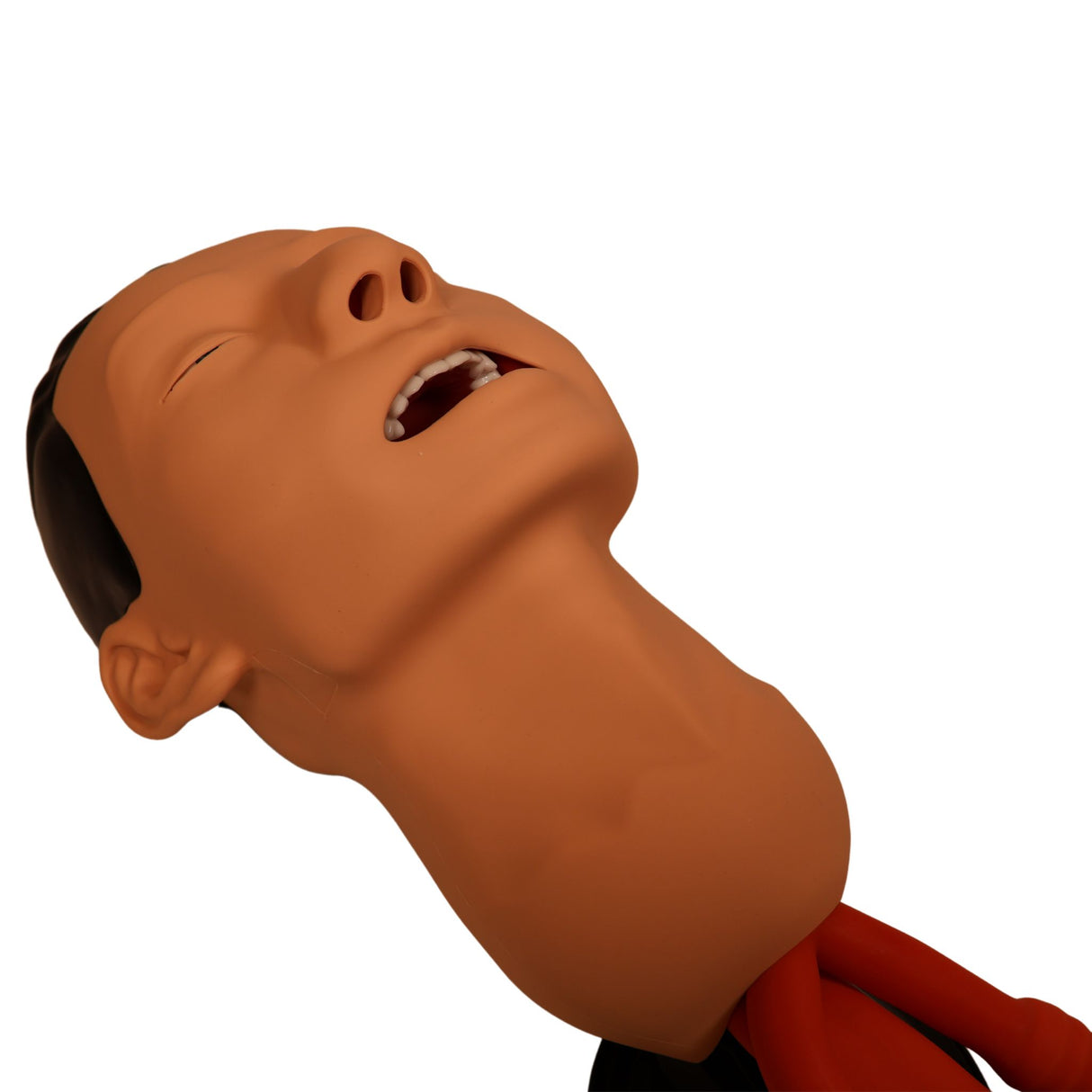 3B Scientific Airway Management Trainer P73 | 1026007 | Sim & Skills Ltd