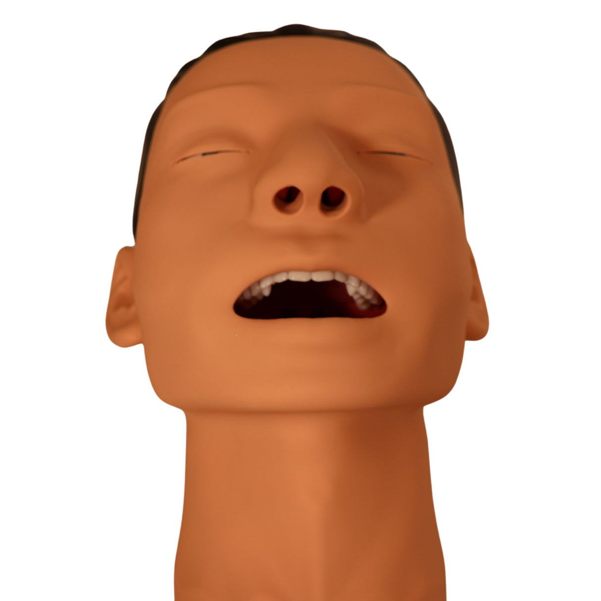 3B Scientific Airway Management Trainer P73 | 1026007 | Sim & Skills Ltd