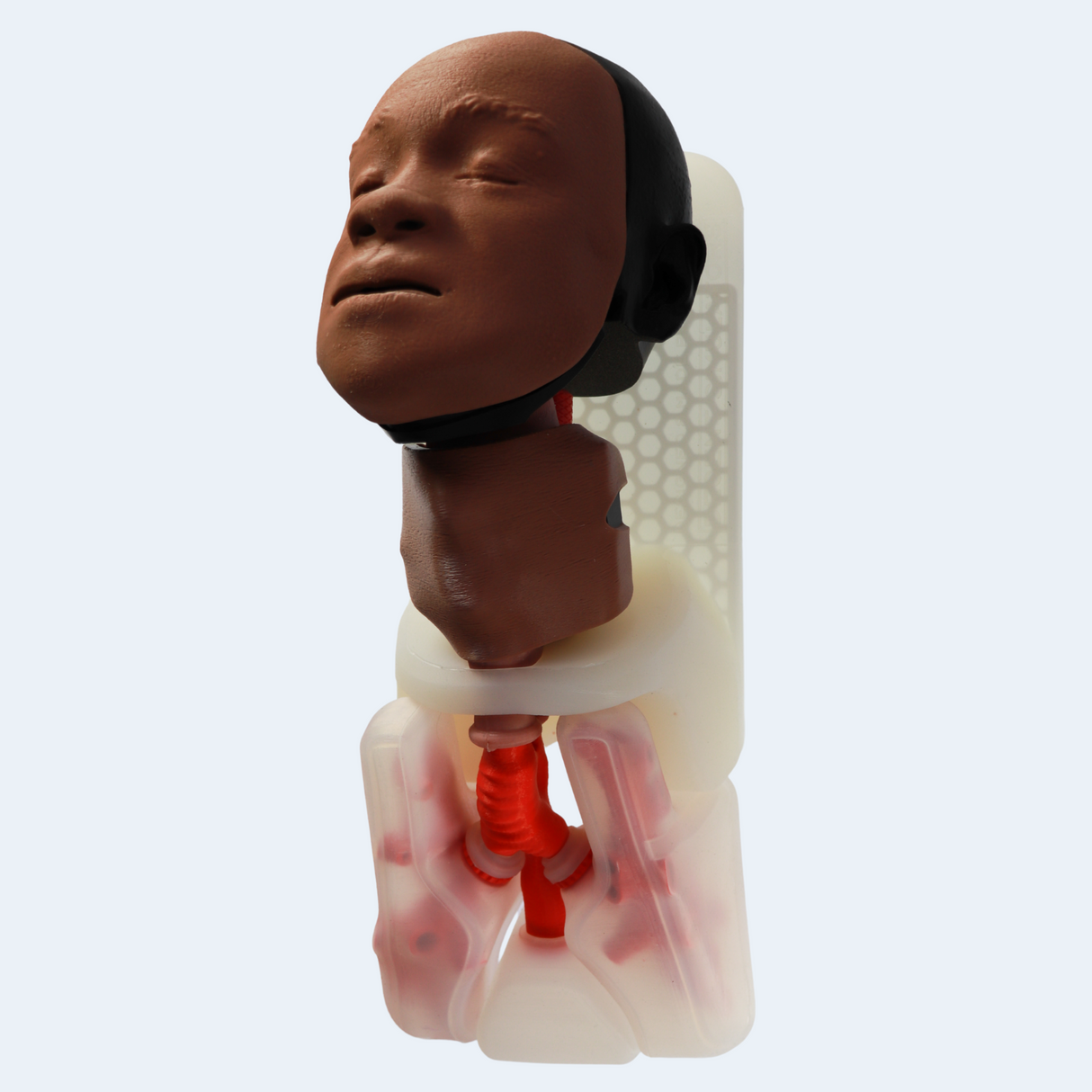 Airway Management Trainer Complete | Sim & Skills Ltd