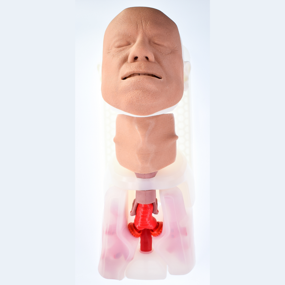 Airway Management Trainer Complete | Sim & Skills