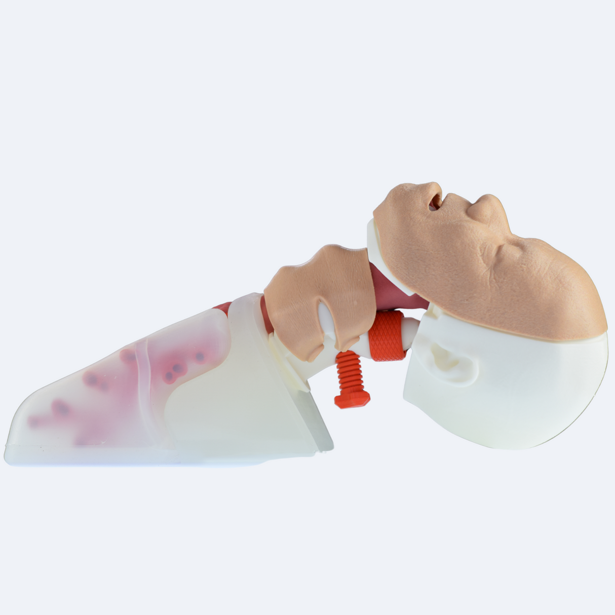 Airway Management Trainer Complete | Sim & Skills Ltd
