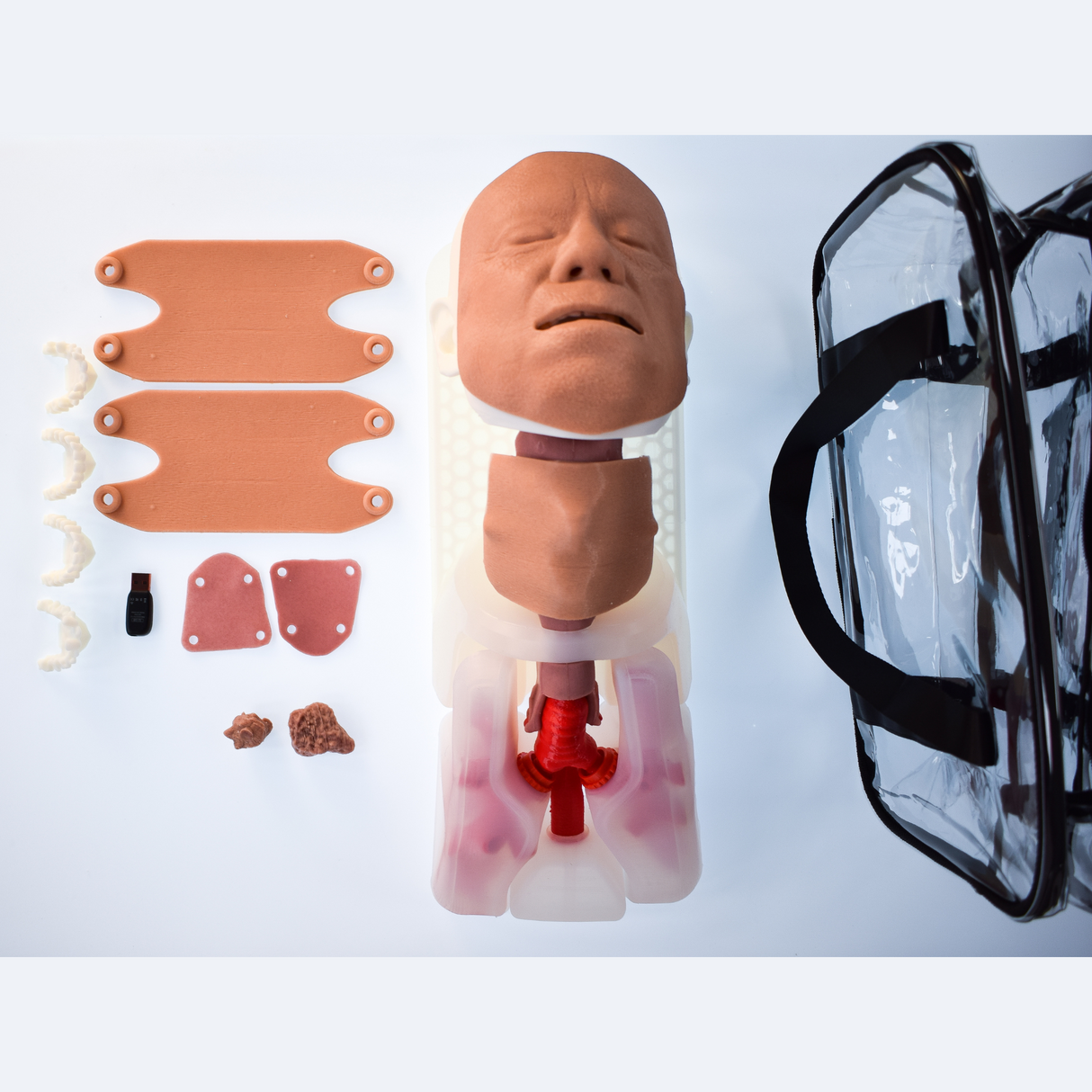 Airway Management Trainer Complete | Sim & Skills Ltd