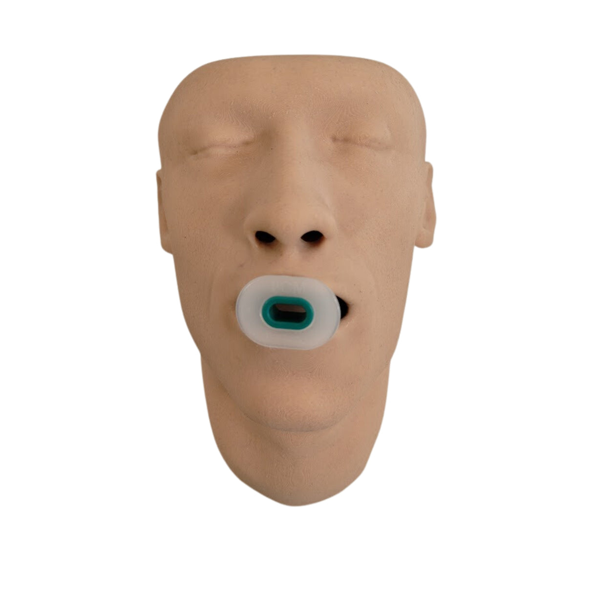 Airway Adjunct Placement Trainer