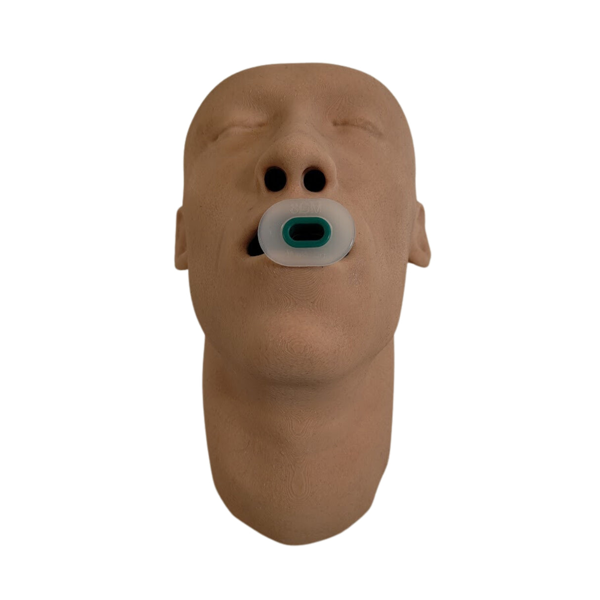 Airway Adjunct Placement Trainer