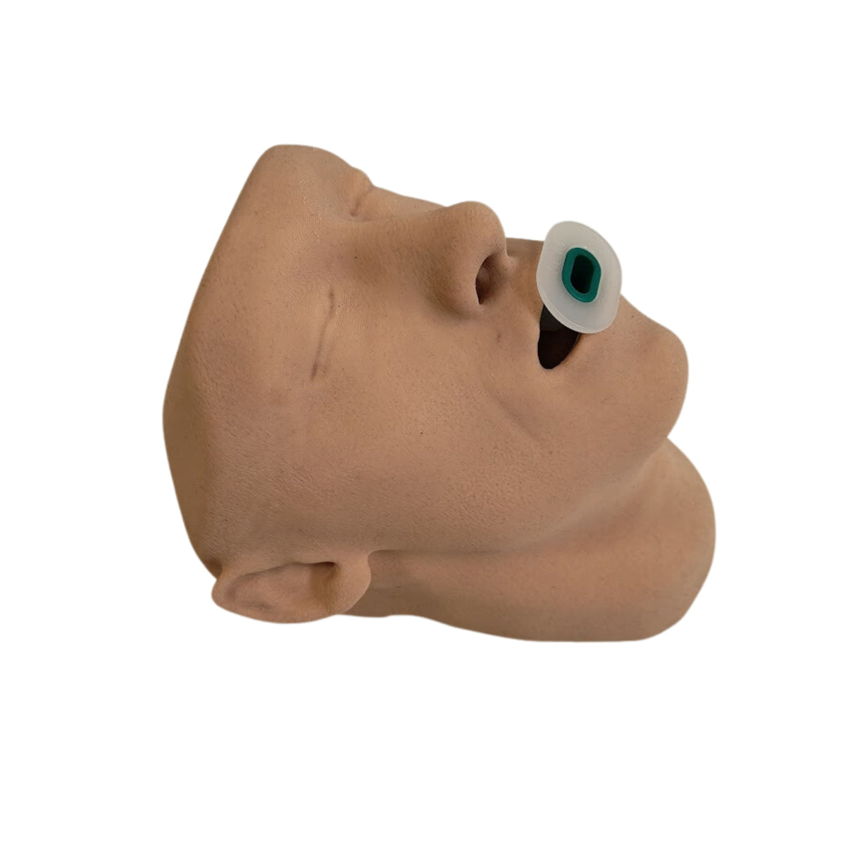 Airway Adjunct Placement Trainer