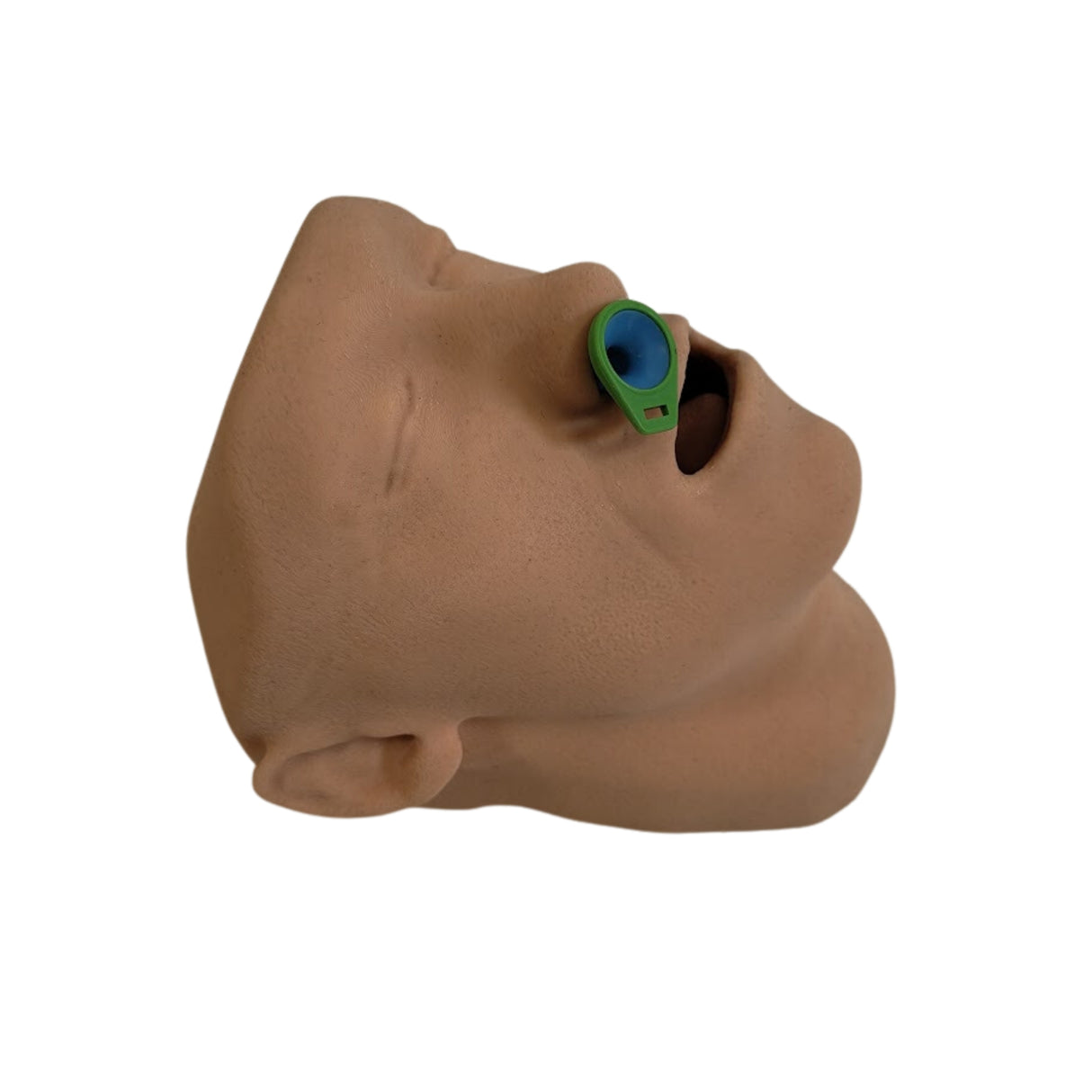 Airway Adjunct Placement Trainer