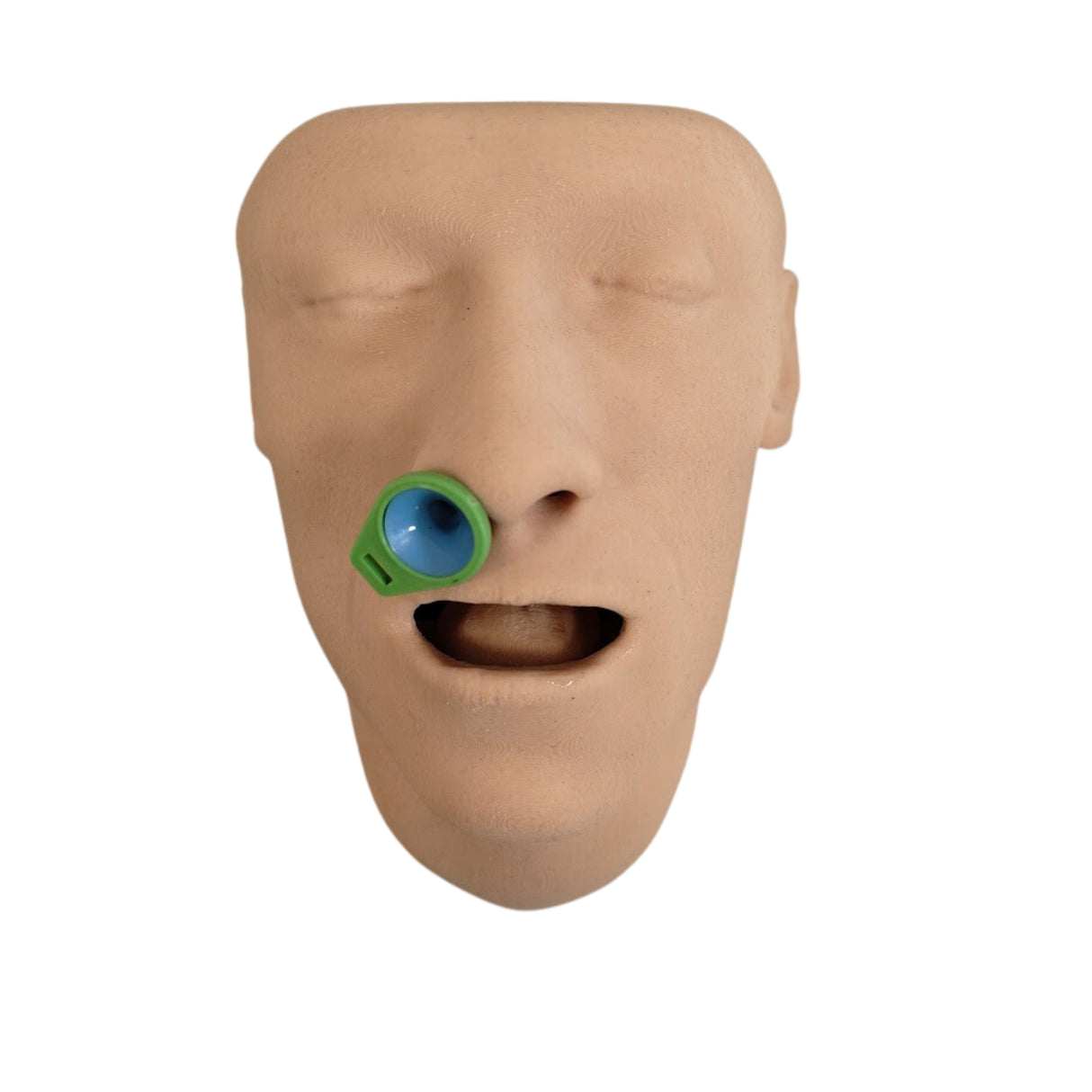 Airway Adjunct Placement Trainer