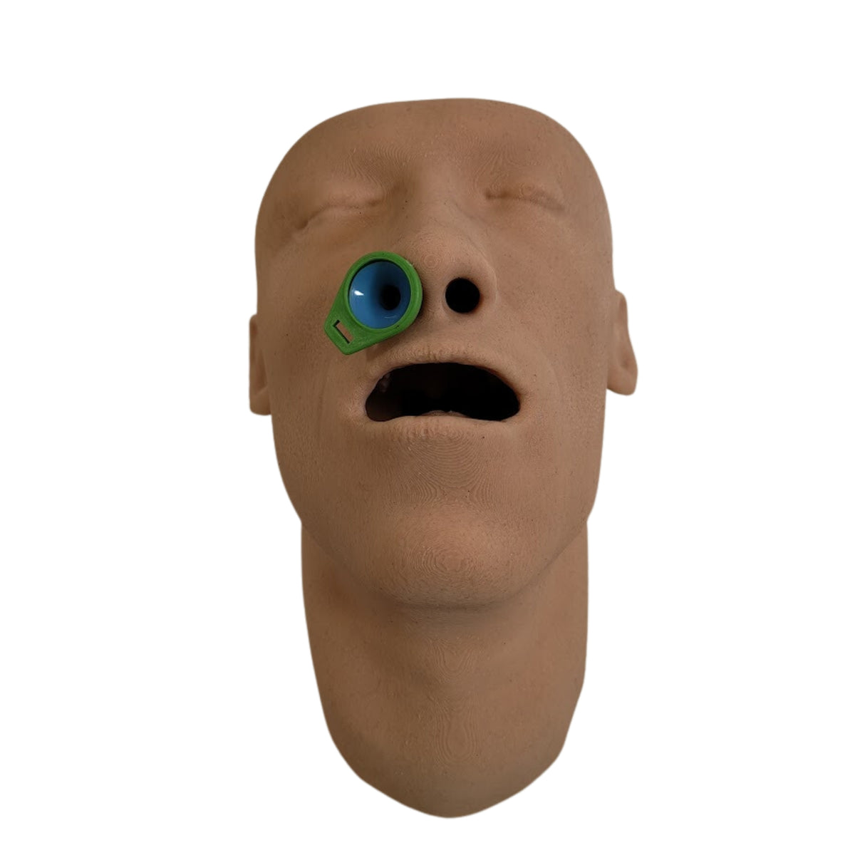 Airway Adjunct Placement Trainer