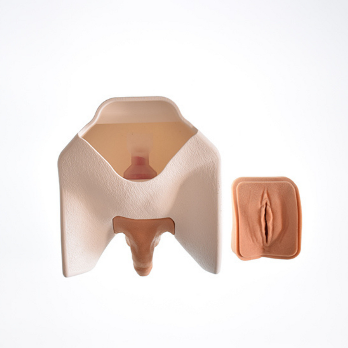 Catheterisation Trainer Complete | Sim & Skills Ltd