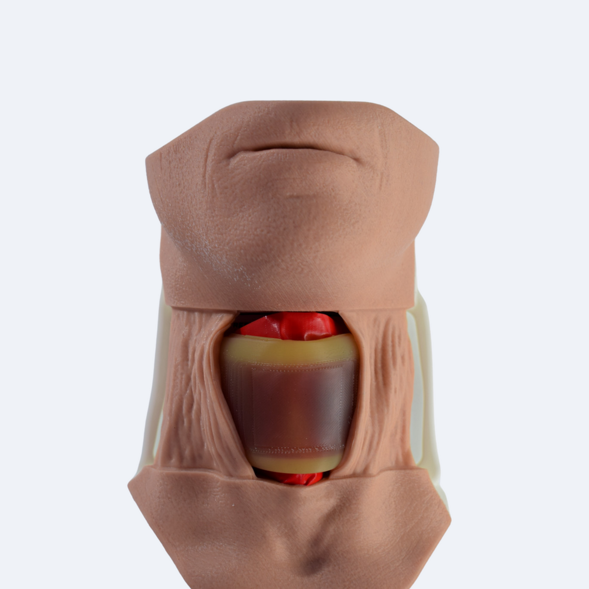 Cricothyroidotomy Trainer Complete | Sim & Skills Ltd