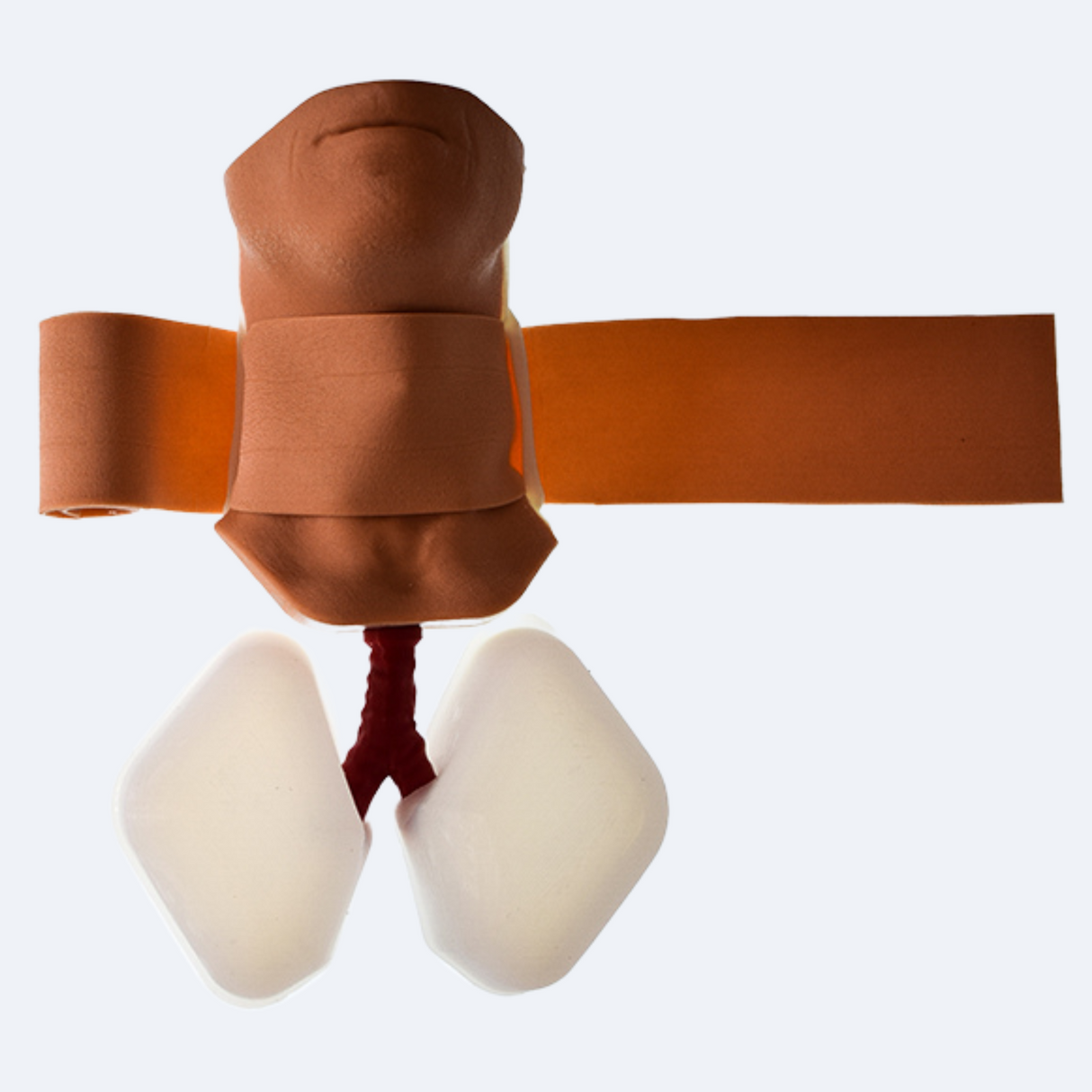 Cricothyroidotomy Trainer Complete | Sim & Skills Ltd