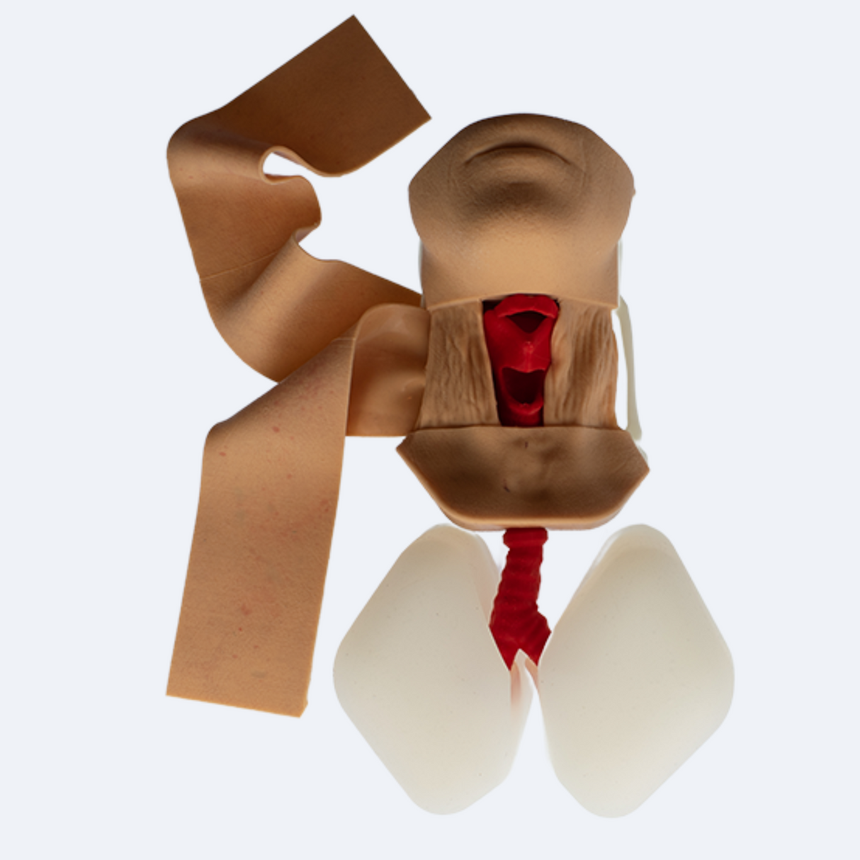 Cricothyroidotomy Trainer Complete | Sim & Skills Ltd