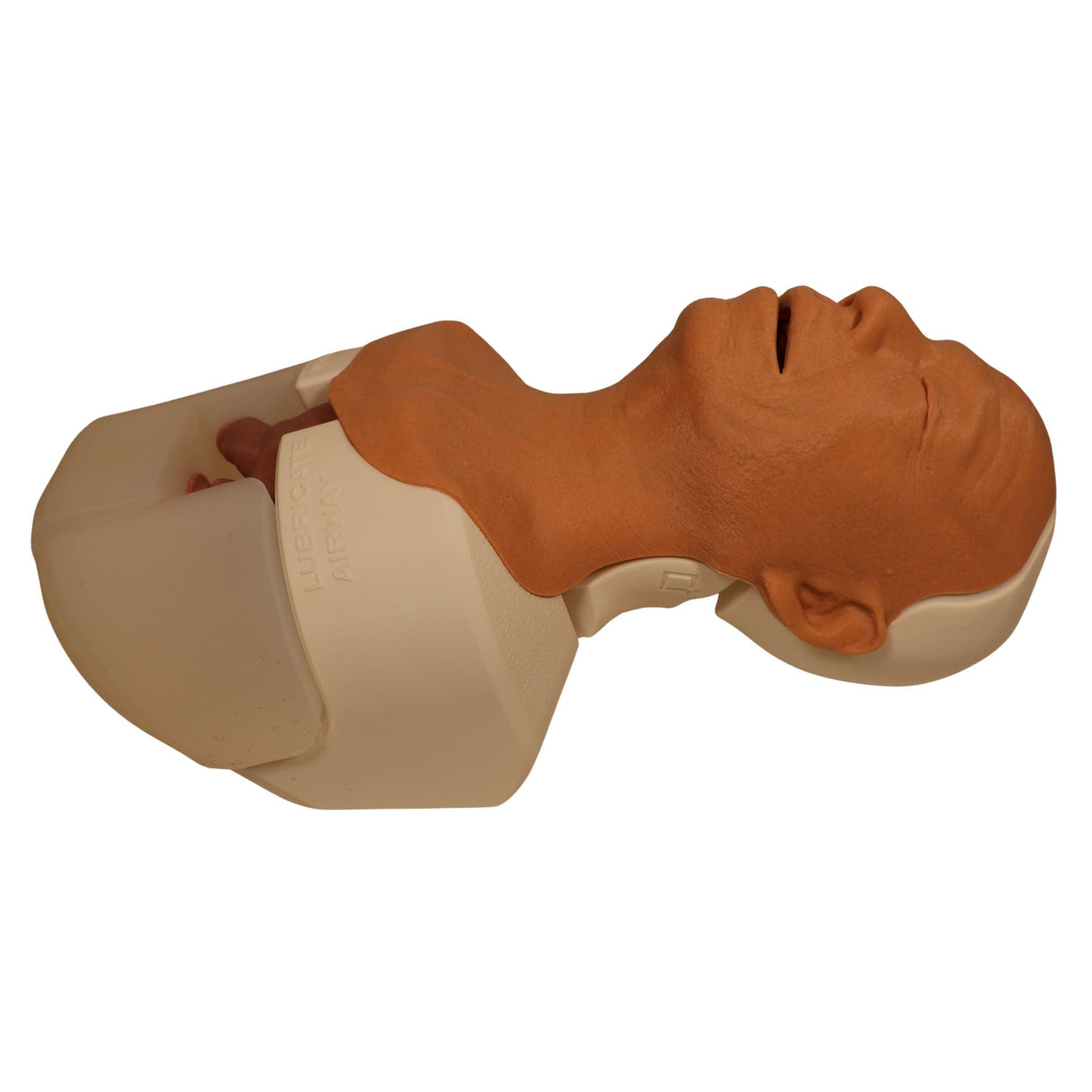 Decent Simulators V2 Airway Management Trainer | C00010 | Sim & Skills Ltd