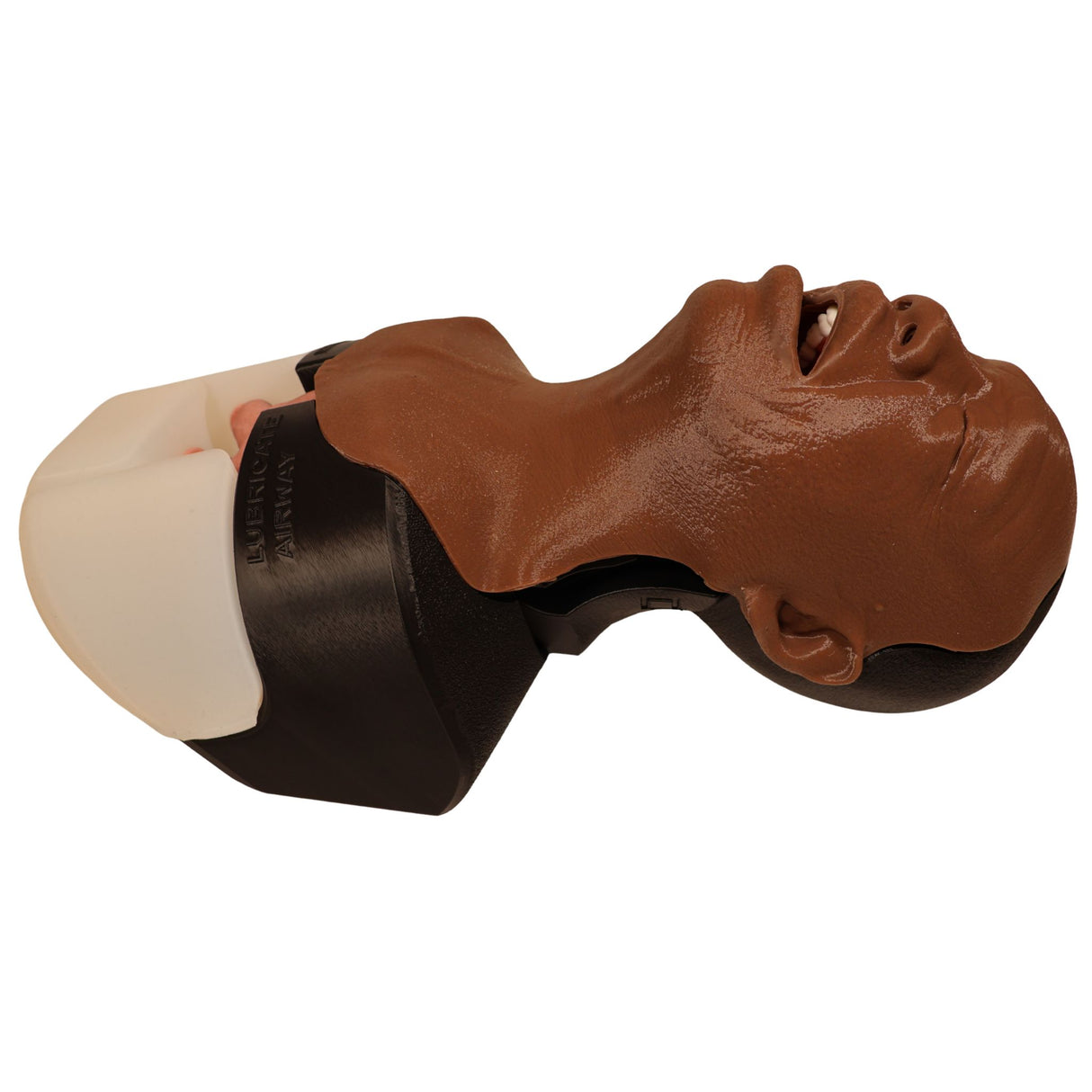 Decent Simulators V2 Airway Management Trainer | C00010-D | Sim & Skills Ltd