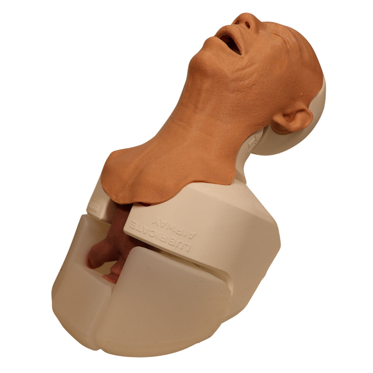 Decent Simulators V2 Airway Management Trainer | C00010 | Sim & Skills Ltd