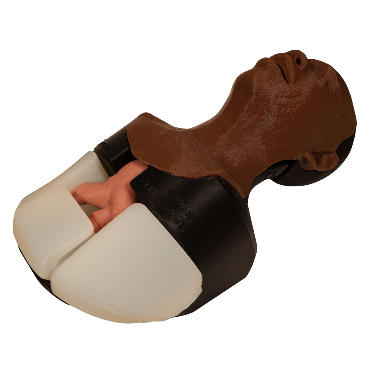 Decent Simulators V2 Airway Management Trainer | C00010-D | Sim & Skills Ltd
