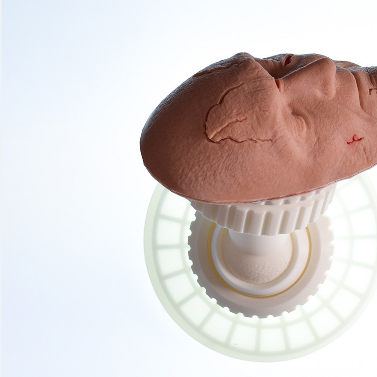 Facial Suturing Trainer Complete | Sim & Skills Ltd