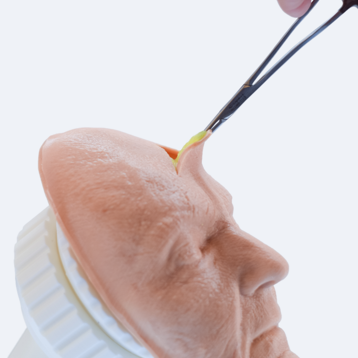 Facial Suturing Trainer Complete | Sim & Skills Ltd