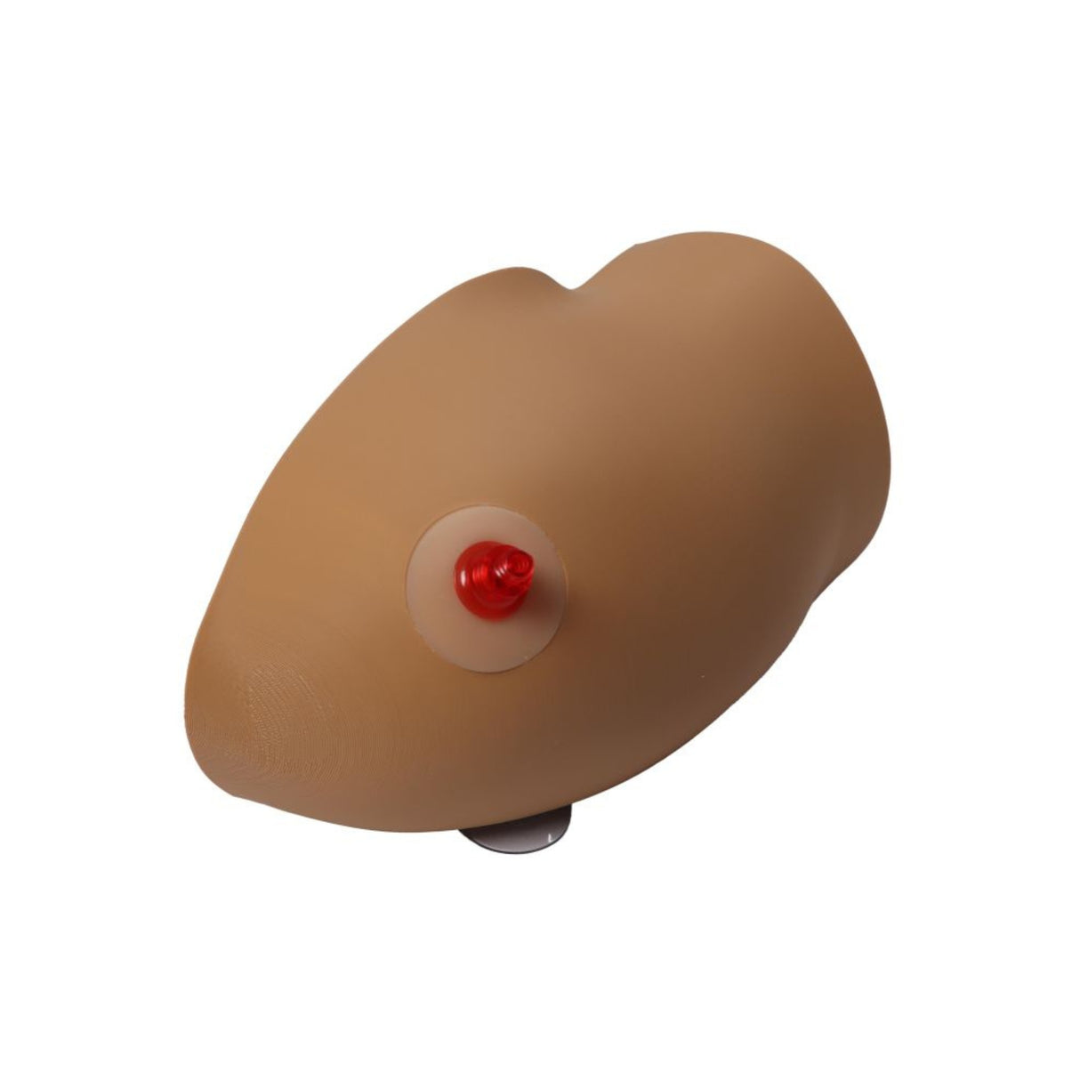 Intraosseous Task Trainer - Amy Arm