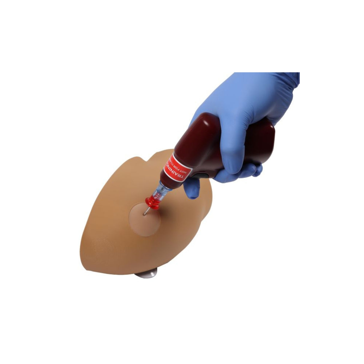 Intraosseous Task Trainer - Amy Arm