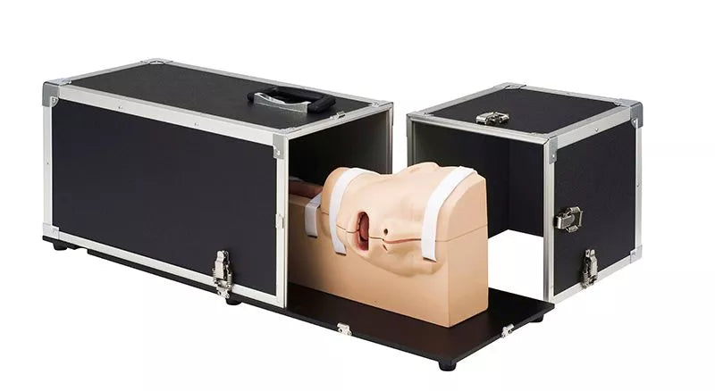 OGD (OesophagoGastroDuodenoscopy) Simulator