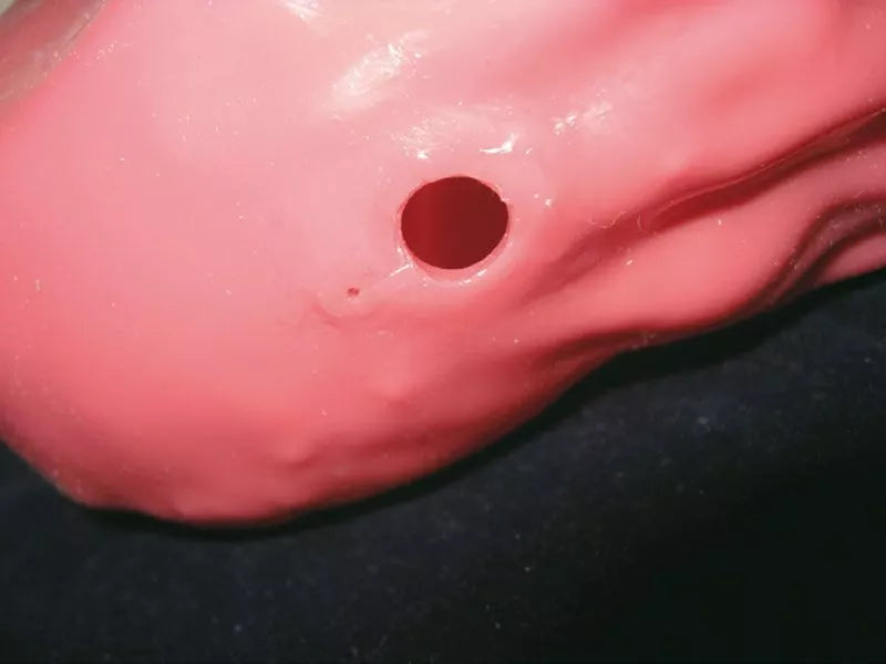 OGD (OesophagoGastroDuodenoscopy) Simulator