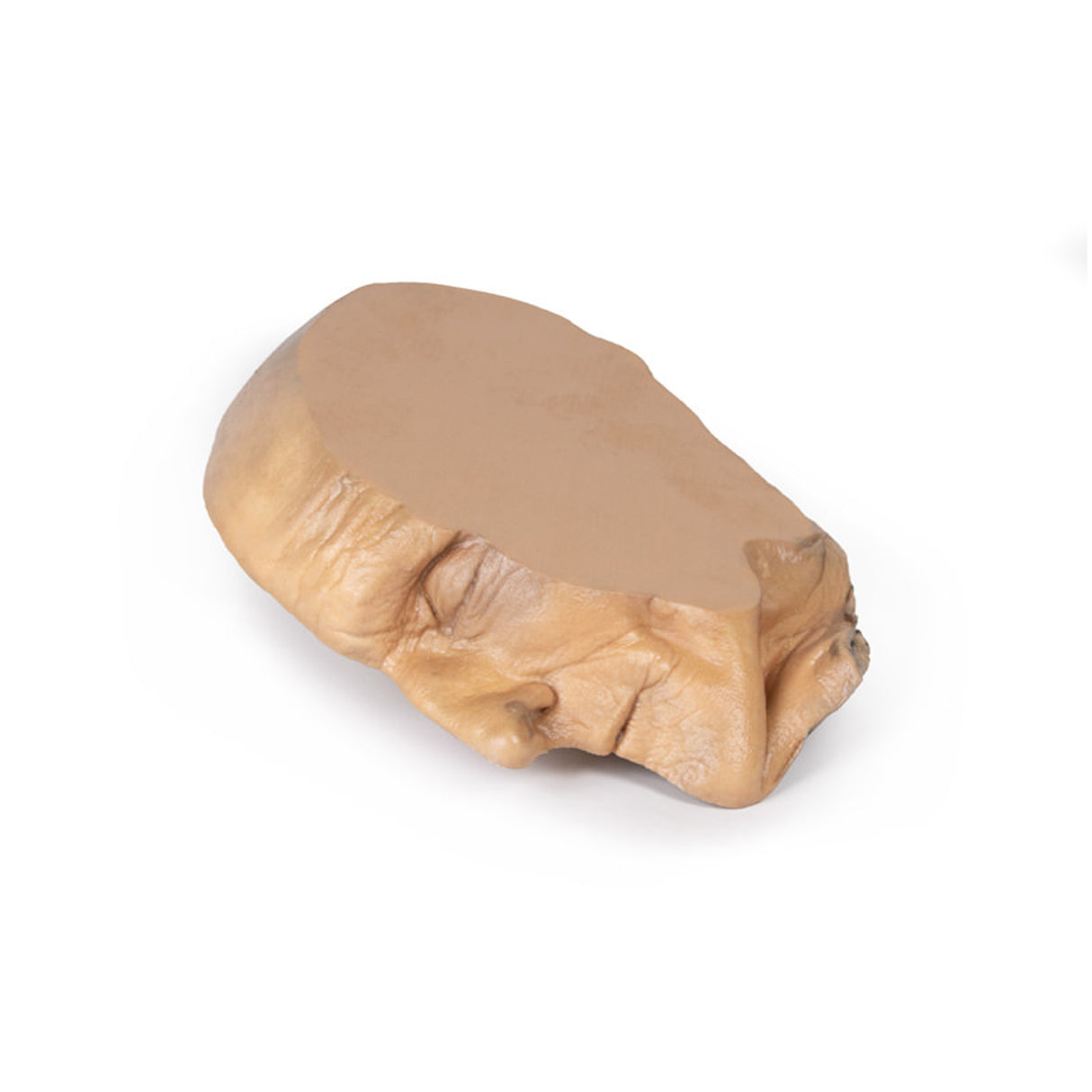 Median Section through head sagittal section of head with deep dissection | EZ-MP1105 | Sim & Skills Ltd
