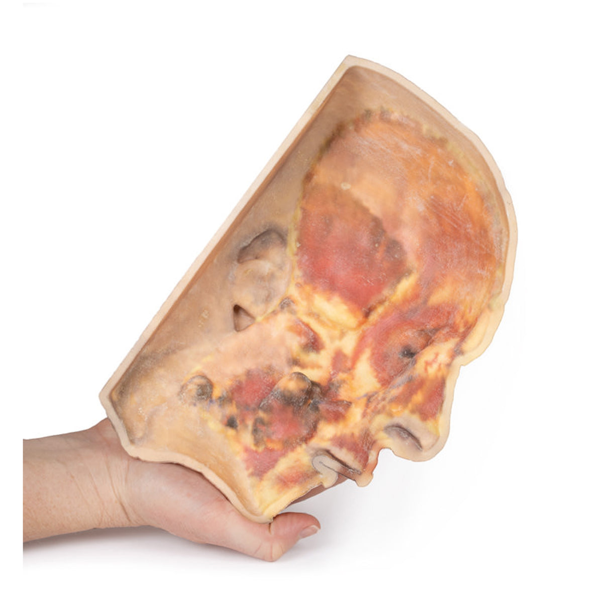 Superficial Face | EZ-MP1108 | Sim & Skills Ltd