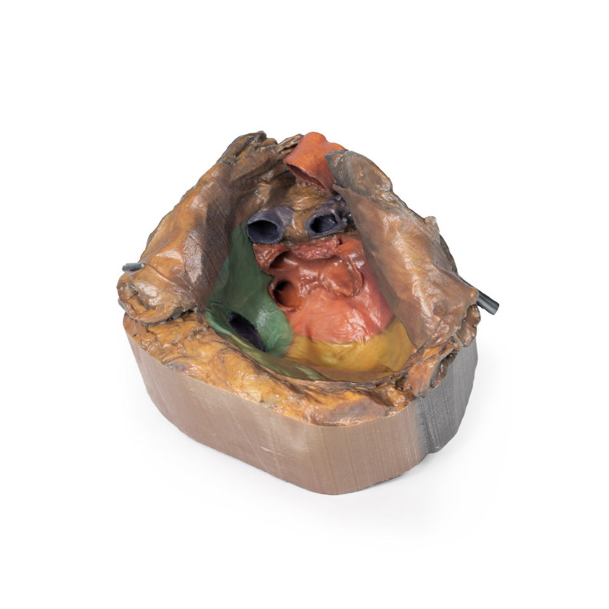 Pericardial space | EZ-MP1121 | Sim & Skills Ltd