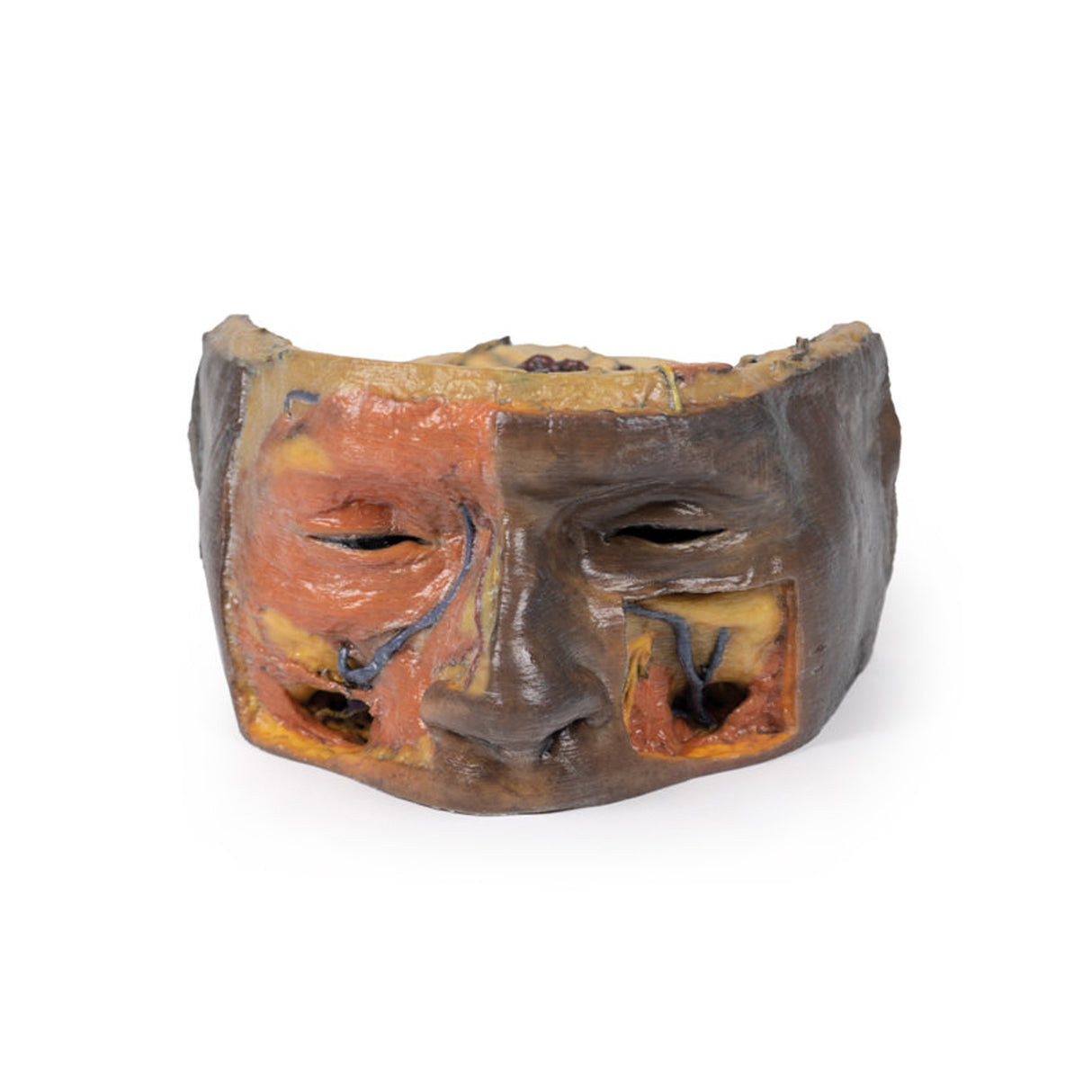 Superior Orbit | EZ-MP1675 | Sim & Skills Ltd