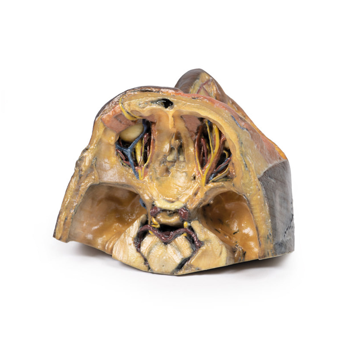 Superior Orbit | EZ-MP1675 | Sim & Skills Ltd