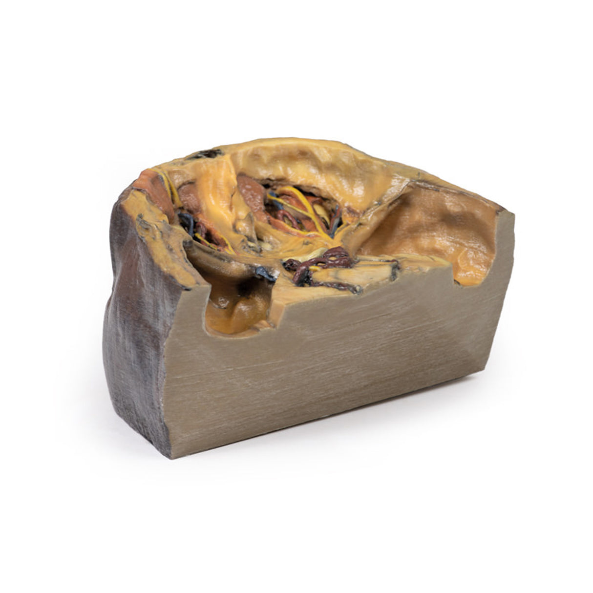 Superior Orbit | EZ-MP1675 | Sim & Skills Ltd