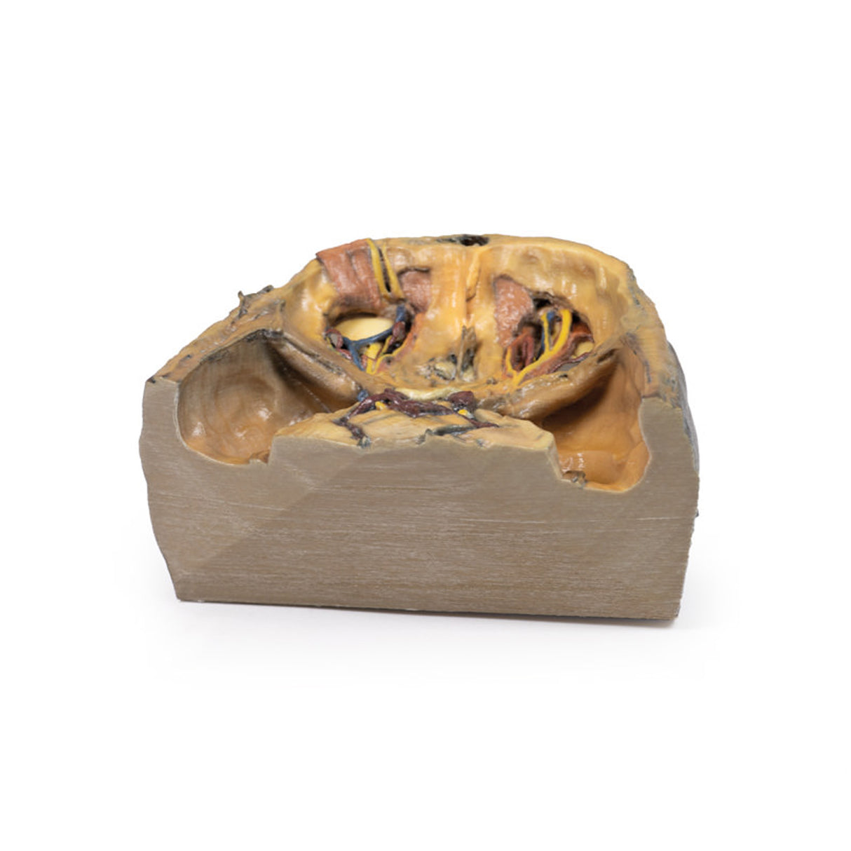 Superior Orbit | EZ-MP1675 | Sim & Skills Ltd