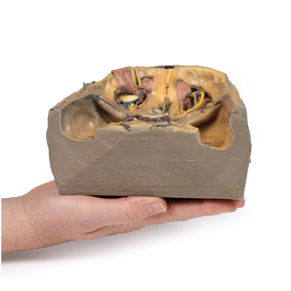 Superior Orbit | EZ-MP1675 | Sim & Skills Ltd