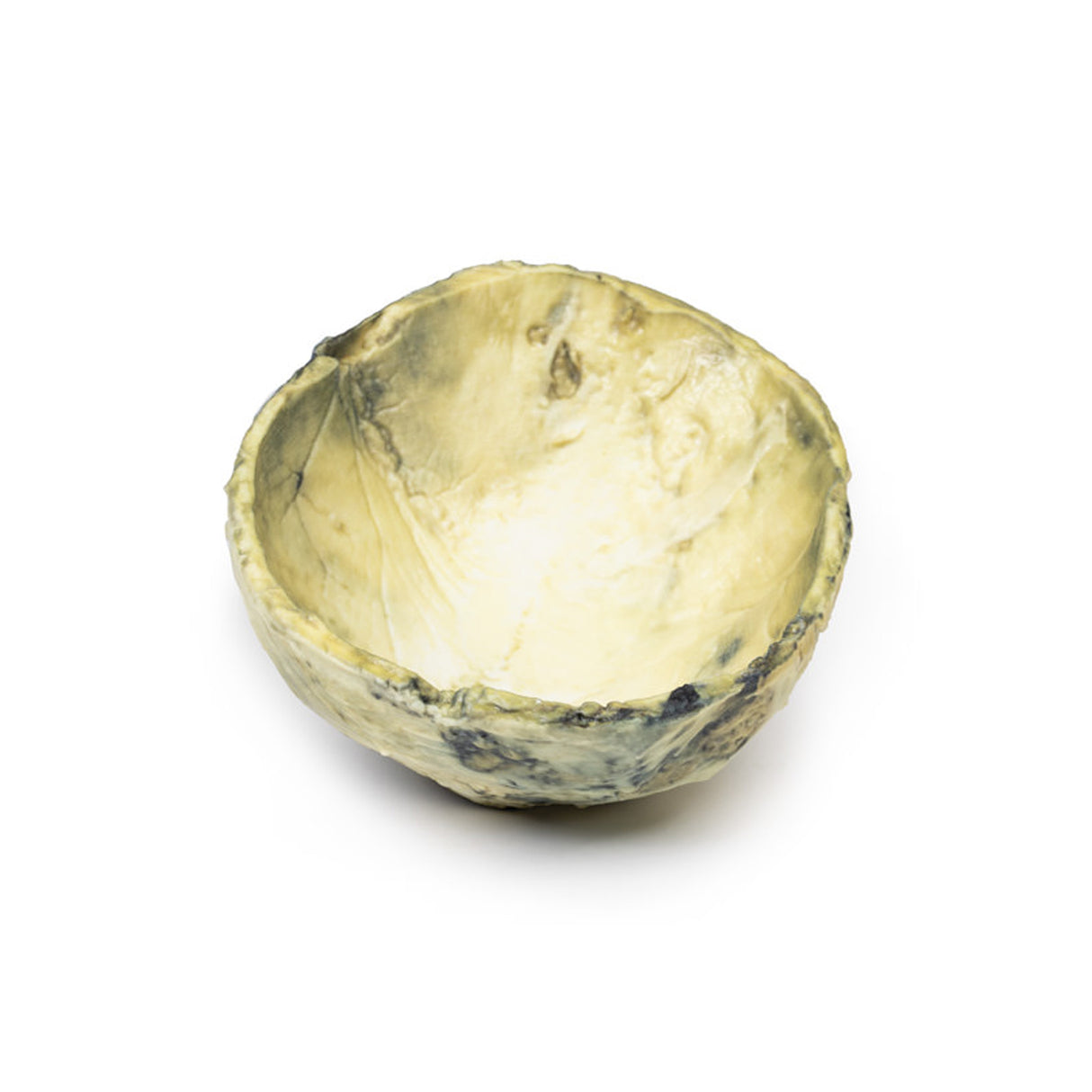 Tertiary Syphilis | EZ-MP2113 | Sim & Skills Ltd