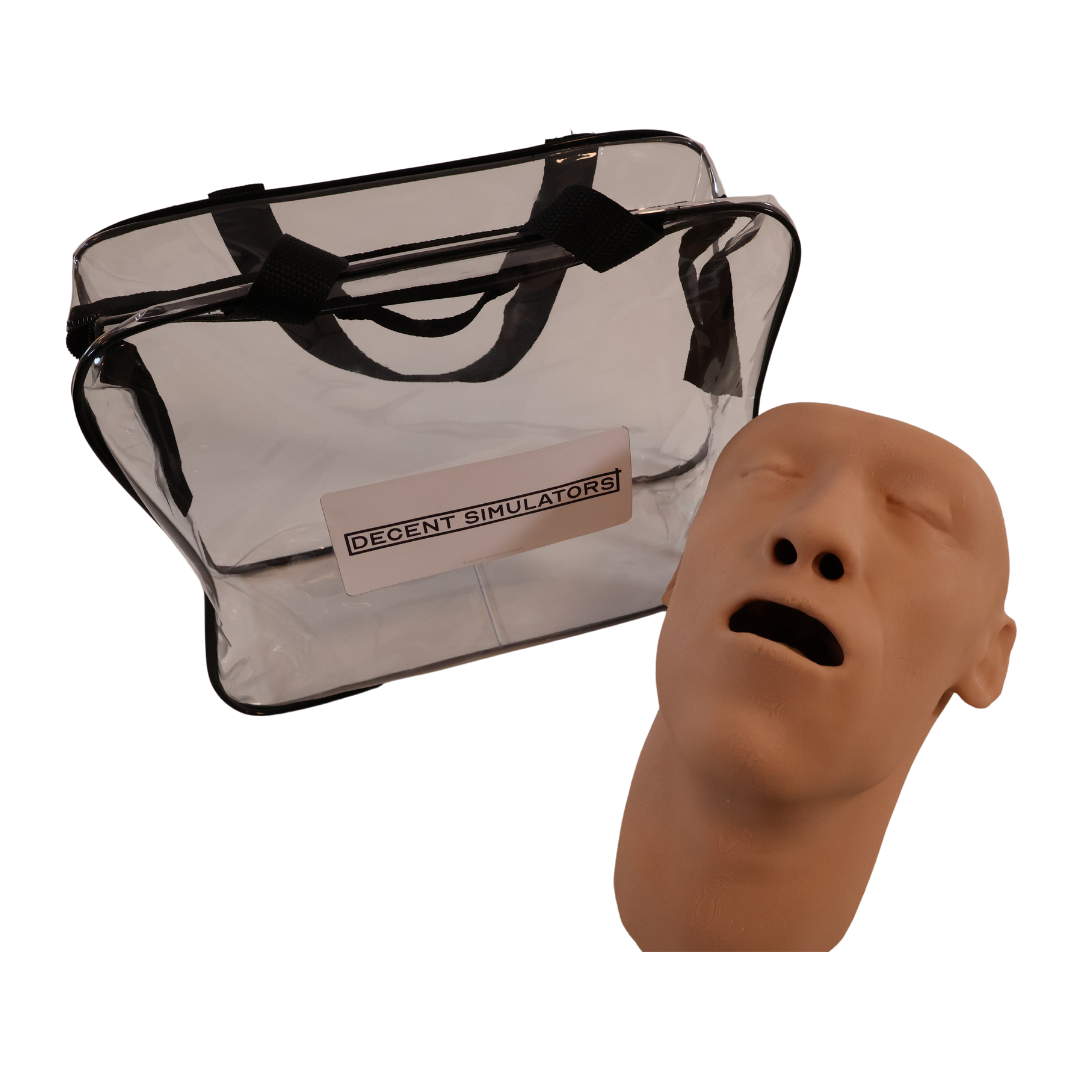 Airway Adjunct Placement Trainer