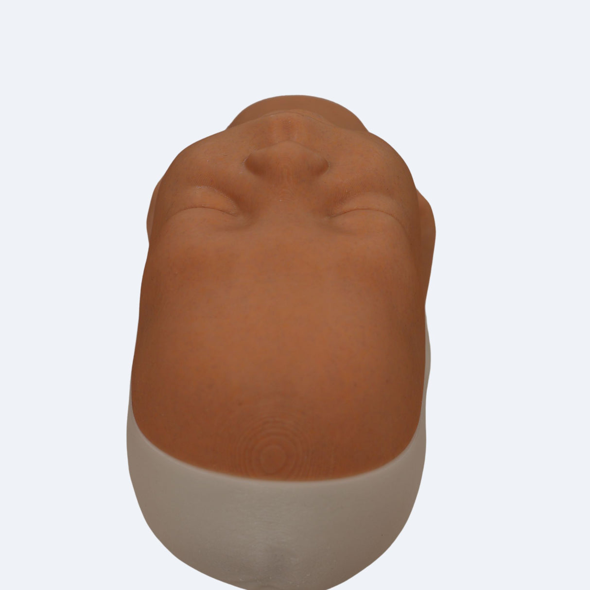 Decent Simulators Newborn Airway Management Trainer Complete | C0009-D | Sim & Skills Ltd