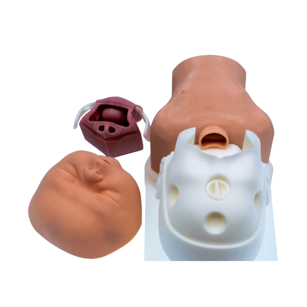 Decent Simulators Newborn Airway Management Trainer Complete | C0009-D | Sim & Skills Ltd