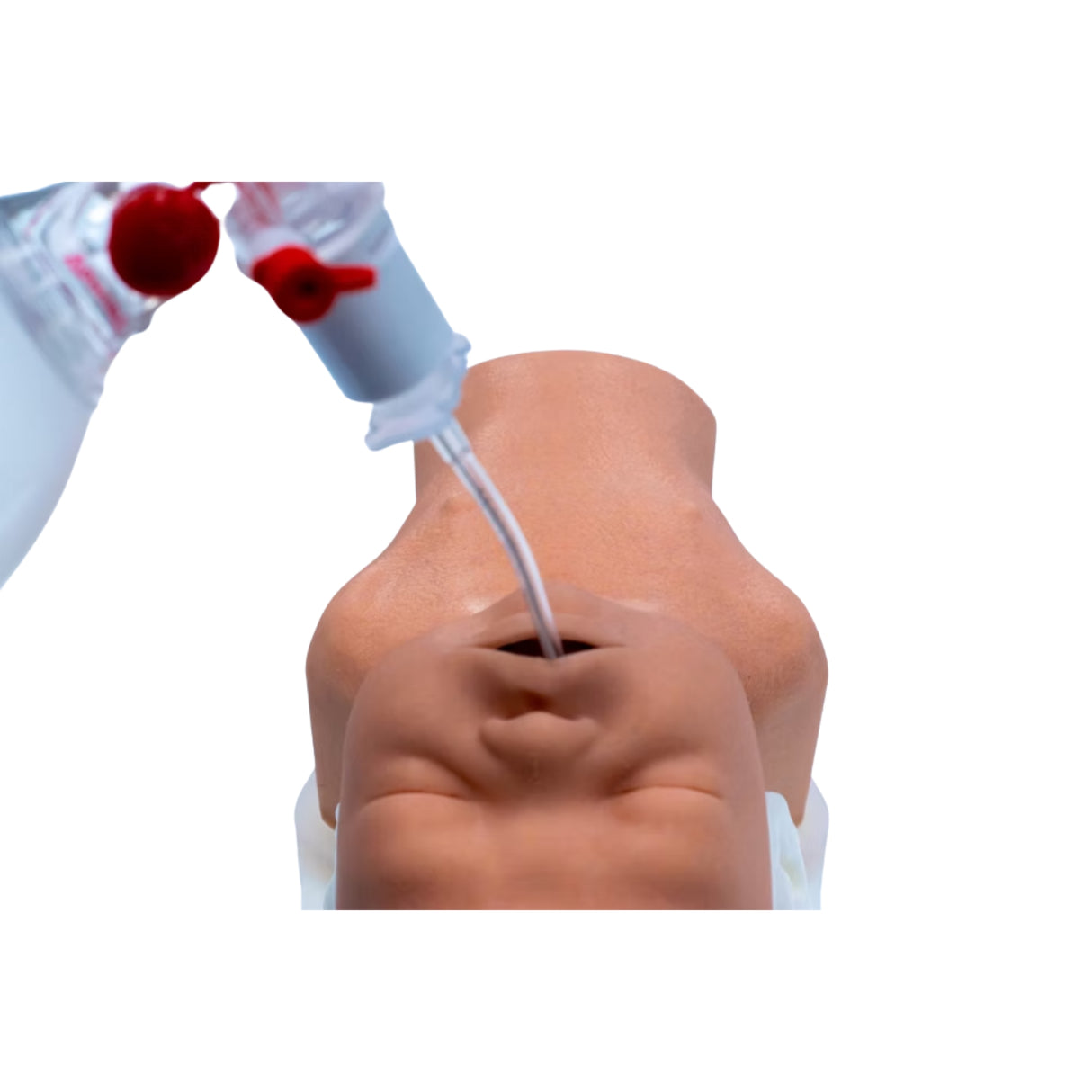 Decent Simulators Newborn Airway Management Trainer Complete | C0009-D | Sim & Skills Ltd