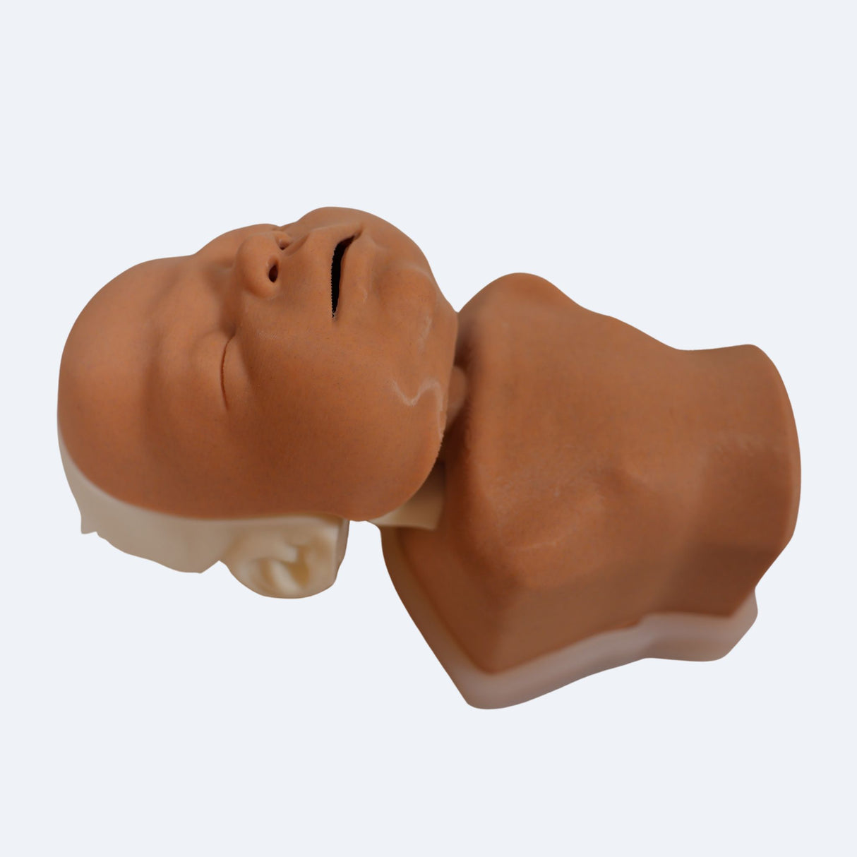 Decent Simulators Newborn Airway Management Trainer Complete | C0009-D | Sim & Skills Ltd