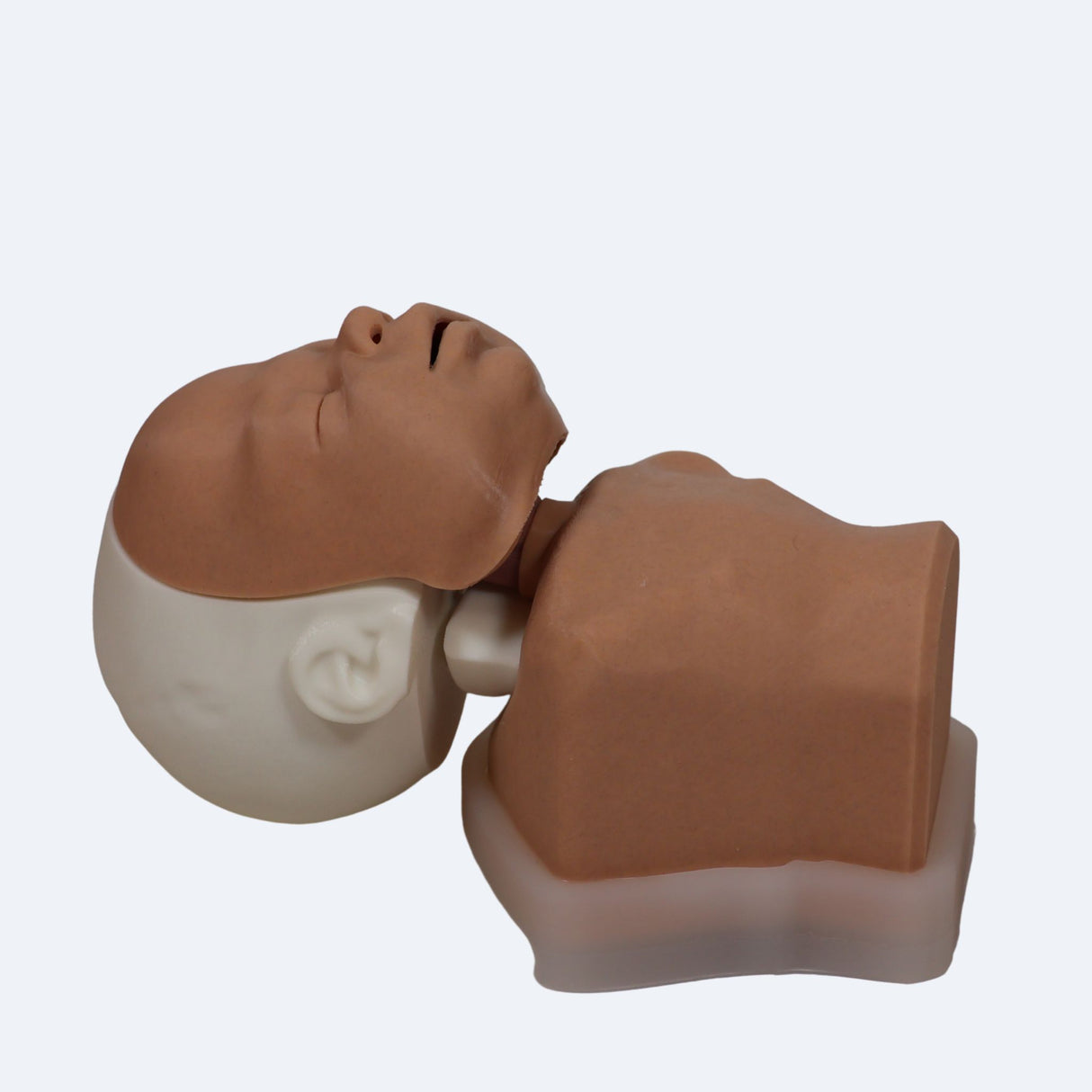 Decent Simulators Newborn Airway Management Trainer Complete | C0009-D | Sim & Skills Ltd