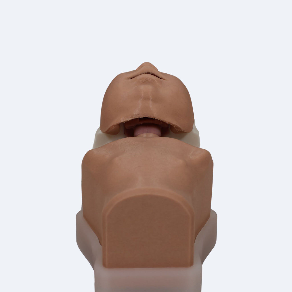 Decent Simulators Newborn Airway Management Trainer Complete | C0009-D | Sim & Skills Ltd
