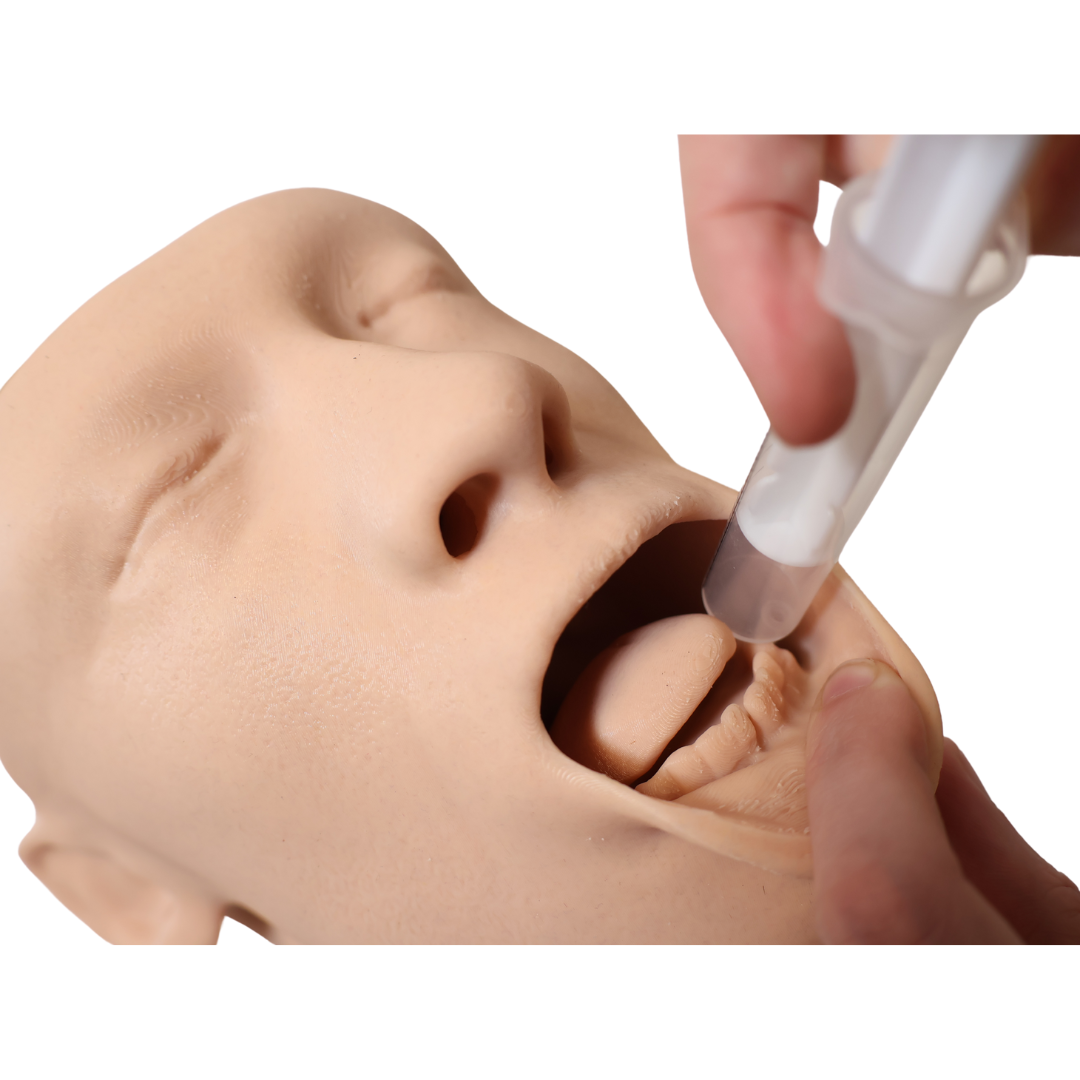 Buccal Injection / Non - Invasive Drug Delivery Trainer E0009A | Sim & Skills