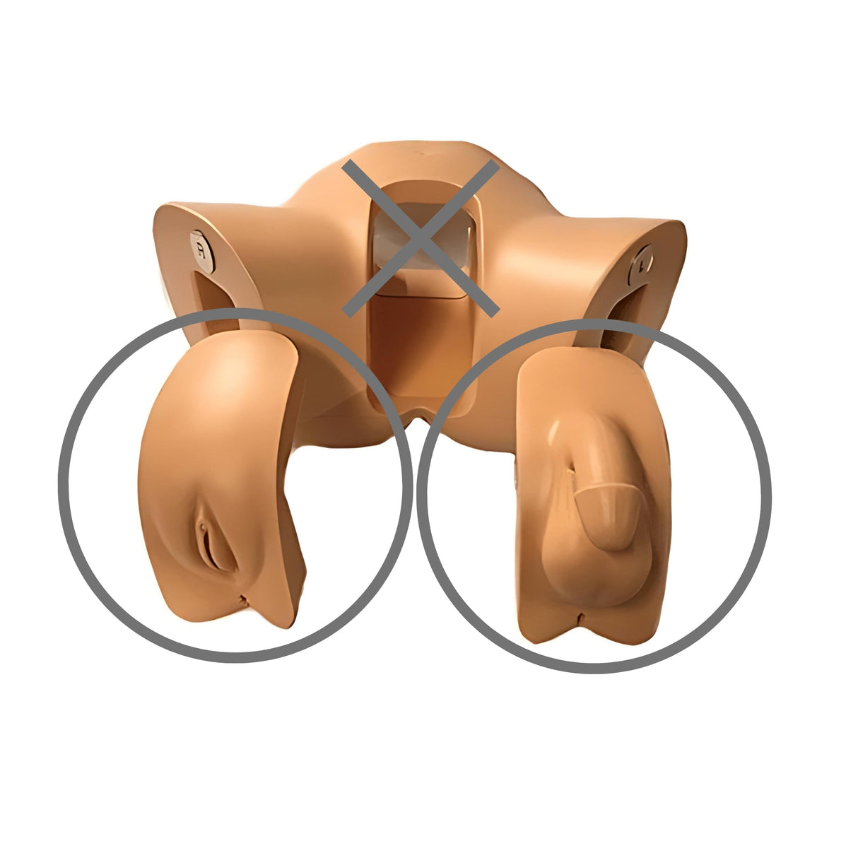 Catheterisation Simulator Genitalia Module Male/Female BT - CSCM - M | Sim & Skills