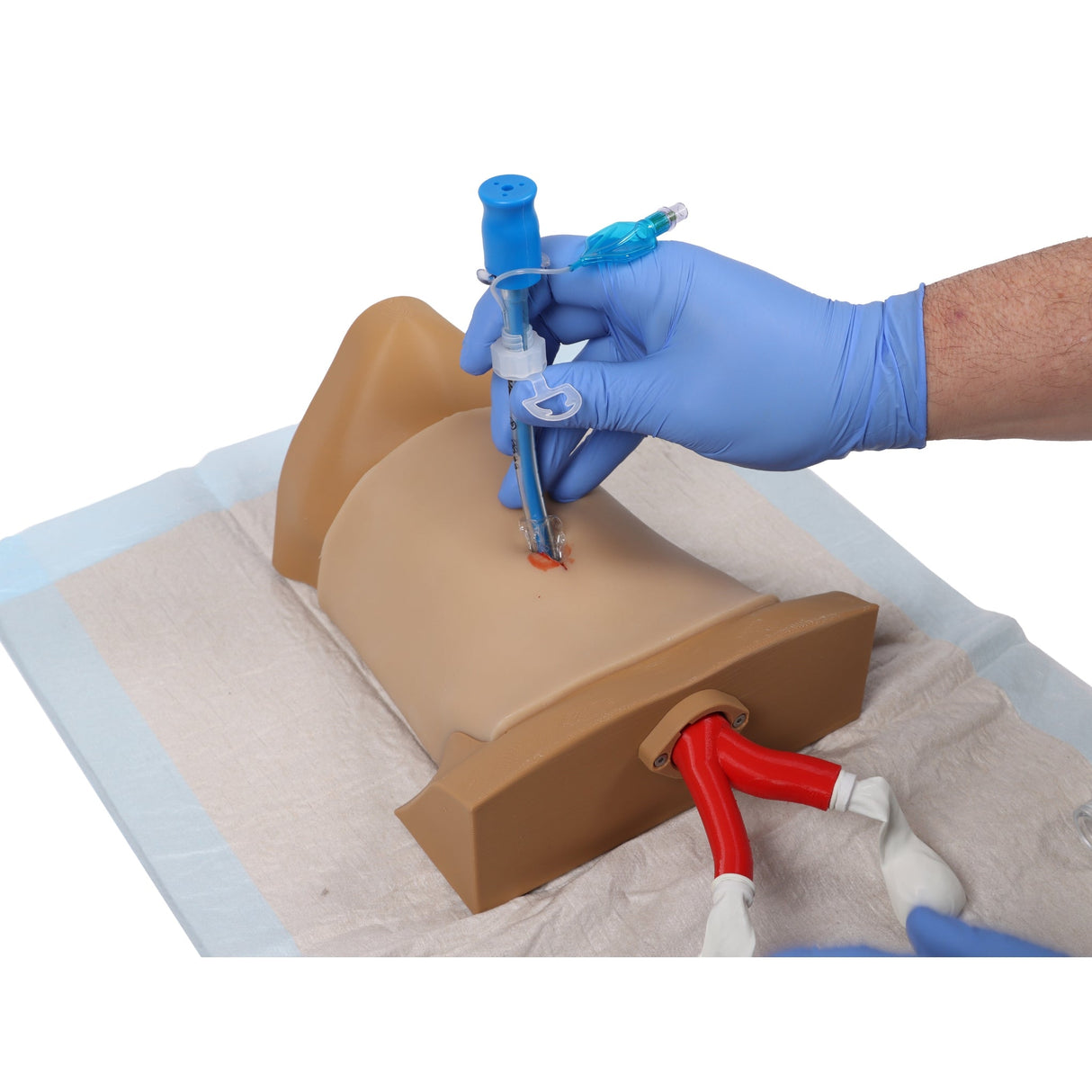 Crico Chris - Cricothyrotomy Task Trainer EZ-7660 | Sim & Skills